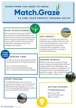 Match.Graze Everything you need to know infographic