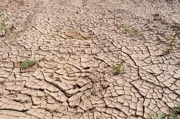 Drought. Photo from Pixabay