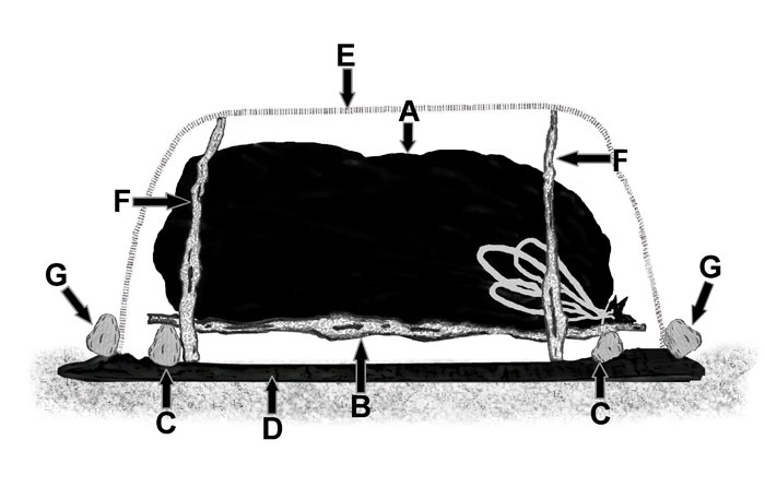 Solar-Tent-for-Website2