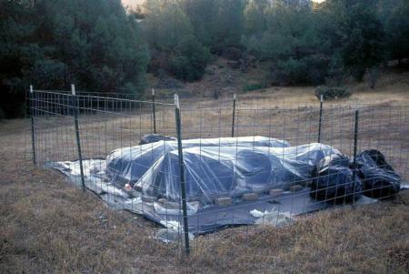 Solar tents containing weeds being solarized.