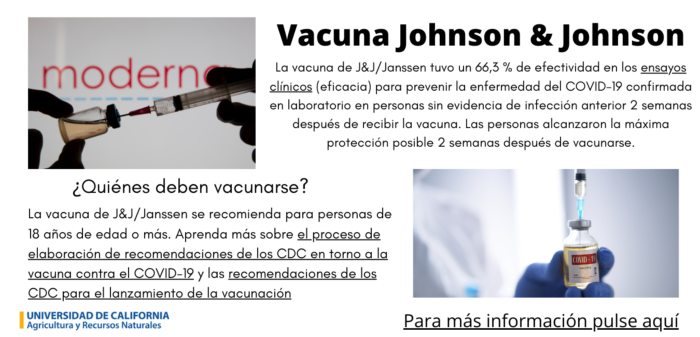 _Vacuna JJ