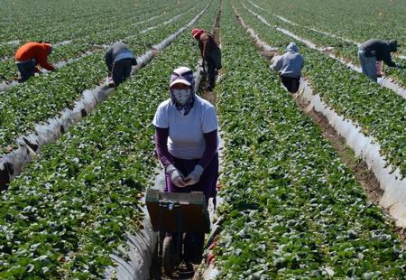 Farm workers - hhm2024