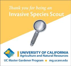 Invasive Species Scout backing with pin