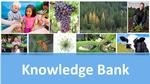 Knowledge Bank