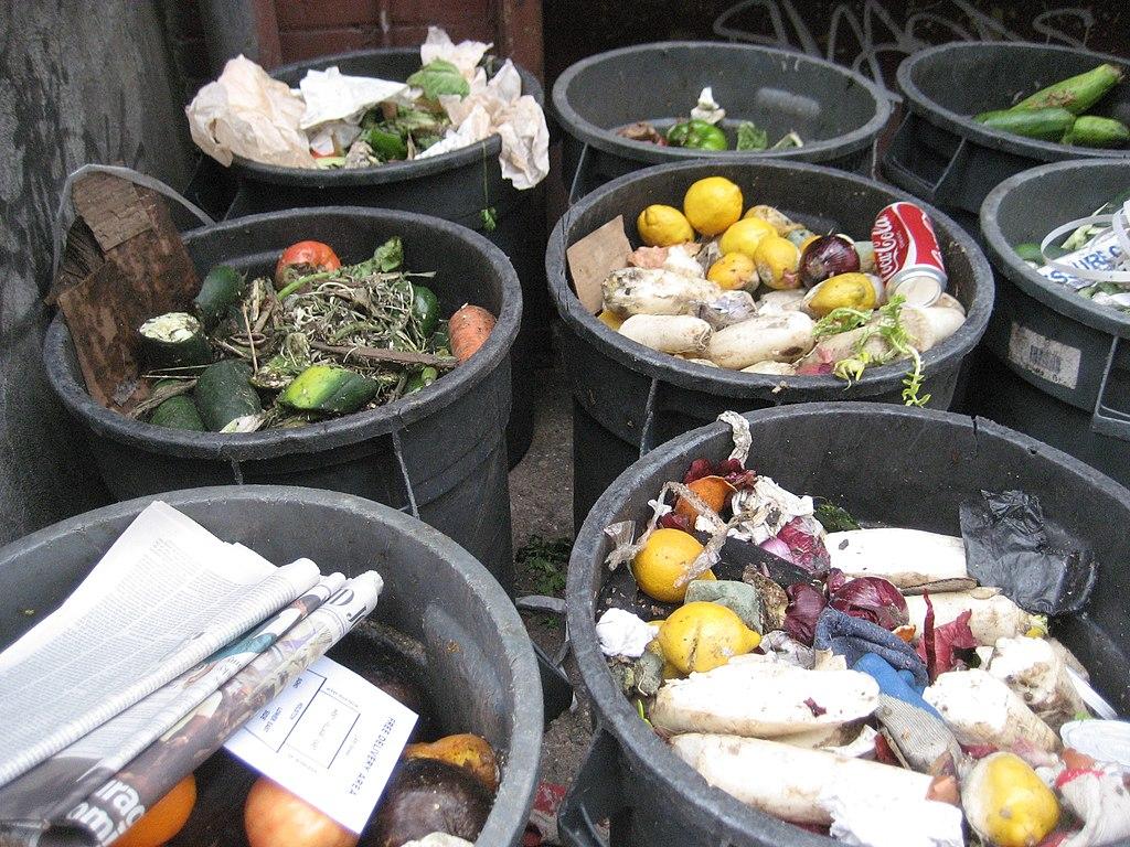Food waste in household garbage cans. Photo credit: petrr, CCA 2.0, Wikimedia Commons.