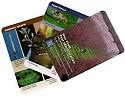 Tree Fruit Pest ID Cards #3426 $15.00