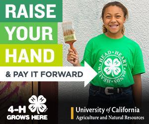 Want to help us win $5K, $10K or $20K?    Show your @4H pride & Raise Your Hand as a #4HGrown alum at www.4-H.org/RaiseYourHand