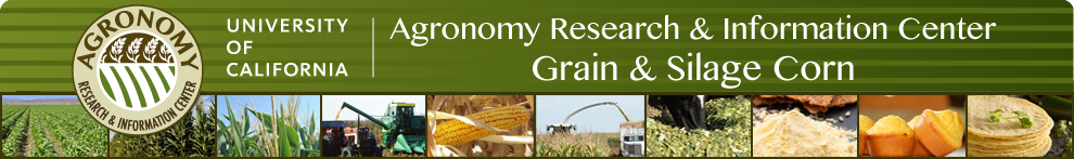 University of California Grain & Silage Corn