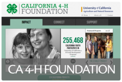 Click to go to the California 4-H Foundation website