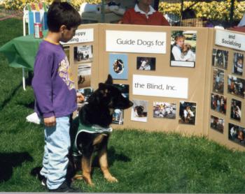 Guide Dog Display