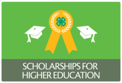 Scholarships for Higher Education button