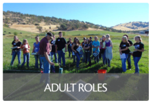 Adult Roles