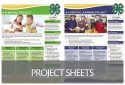 4-H Project Sheets