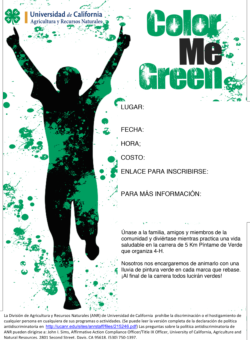 Color Me Green 5K Run flyer template-Spanish
