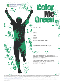 Color Me Green 5K Run flyer template-English