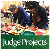 Spend a day or a few hours evaluating 4-H presentations and competitions.