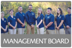 Management Board