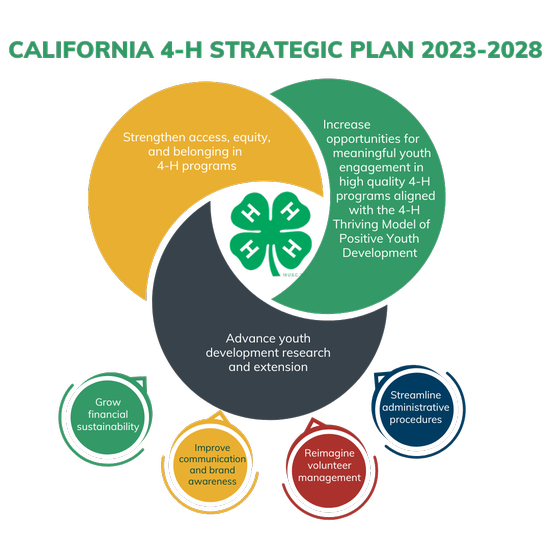 2023 4-H Strategic Plan