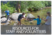 Resources for Staff and Volunteers