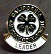 New Adult Leader Pin