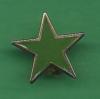 Emerald Star pin