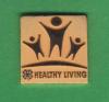 State Presentation Day Special Recognition Pin-Healthy Living