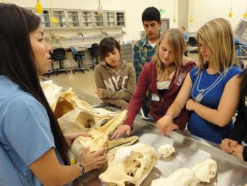 UC Davis Veterinary Students Inspire Youth