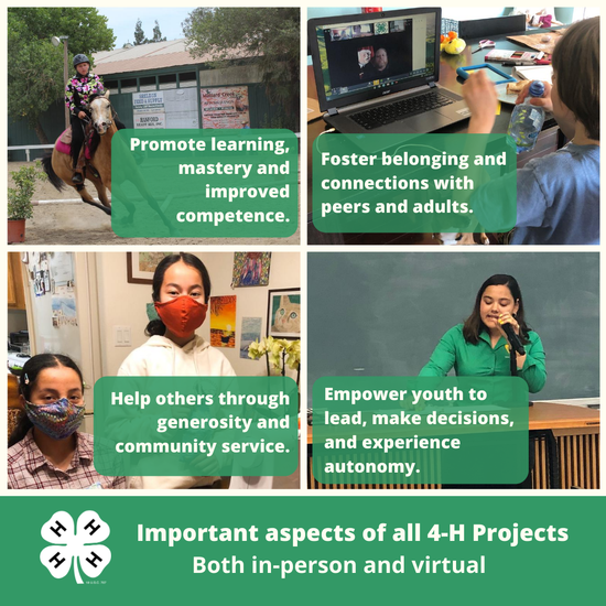 In-person or virtual, all 4-H projects include the following elements:  promote learning, foster belonging, help others, and empower youth to lead.