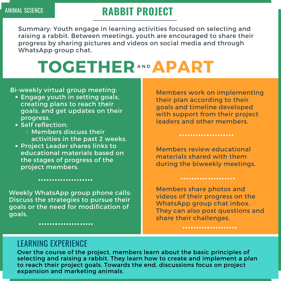 Practical Example-Rabbit Project