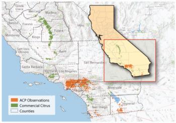 “If there is an ACP or HLB find, we can use the database to assess the risk of spread into urban areas and commercial citrus.” —Kris Lynn-Patterson, GIS coordinator leading the project