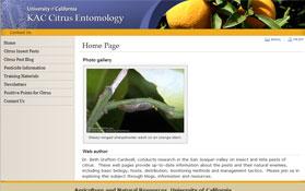 Citrus entomology website