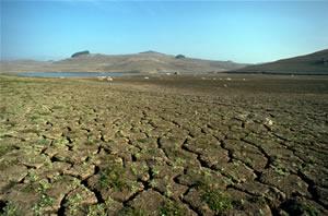 Folsom Lake during a previous drought. (Photo: California Department of Water Resources.)