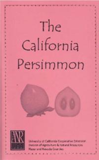 The California Persimmon 2