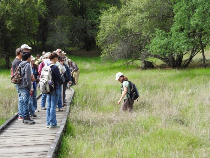 American River Conservancy (DeLacy) 1