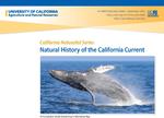 Natural History of the California Current half page