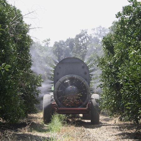 An air blast sprayer applying pesticide. A sprayer viewed from the rear between two rows of citrus trees. Credit: Elizabeth E. Grafton-Cardwell