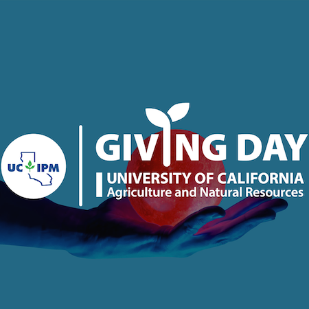 a hand extended with an apple in the palm. Giving day logo with UC IPM logo & Giving Day University of California Agriculture and Natural Resources