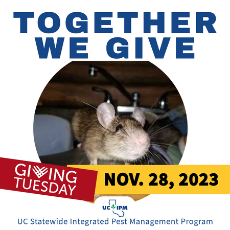 UC IPM logo on a blue sky background with clouds. The words Save the Date are above. Below the UC IPM logo is the Giving Tuesday logo on the left.