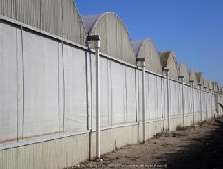 Fig. 10. Rainwater in this nursery is collected and piped underground to a retention basin. Photo: D. Zurawski and J.P. Newman.