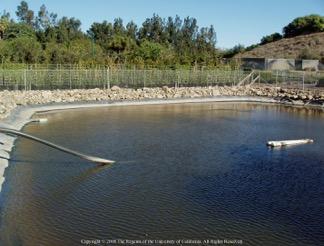 Fig. 11. This lined retention basin has rock rip-rap along the sides for stabilization. Photo: D. Zurawski and J.P. Newman.