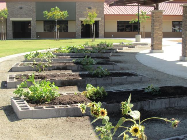 School Shannon Ranch Garden