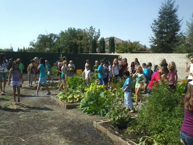 School Hurley Garden