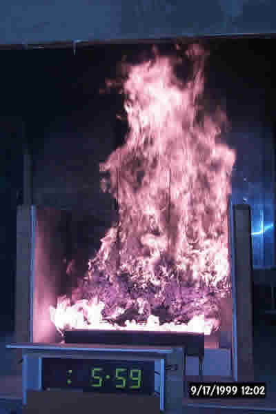 plant during burning test