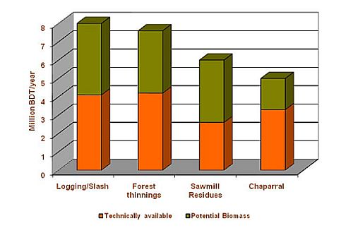 Biomass data 2007 word2