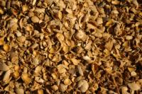 Walnut shells, Winters, CA