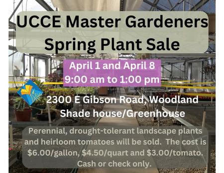 MGY spring plant sale 2023