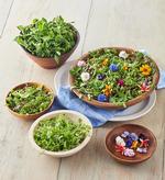 Micro Greens and Edible flowers