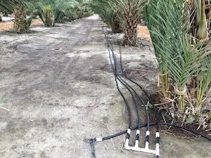 field site - irrigation manifold