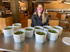 Zoe Mitchell_ Undergraduate Researcher _lead on olive fermentation__Marco