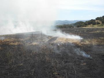 Prescribed burn at Van Hoosear Preserve in Sonoma